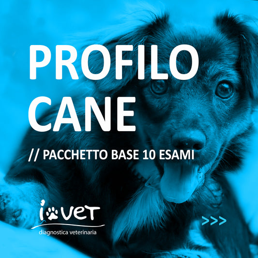 PROFILO BASE CANE PACCHETTO DA 10 ESAMI